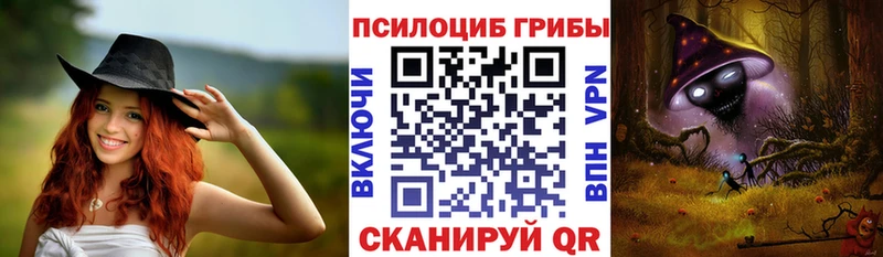 Псилоцибиновые грибы прущие грибы  это состав  Опочка  продажа наркотиков  OMG tor 
